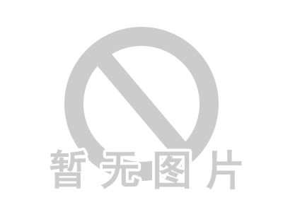 國家重點建設(shè)項目